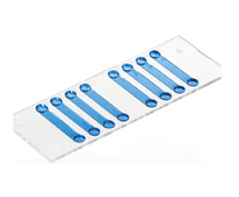 (ibidi)細胞計數載玻片80816