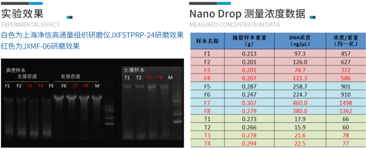 實驗效果 實驗效果